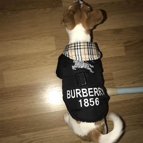 burberry print dog harness|designer dog coats Burberry.